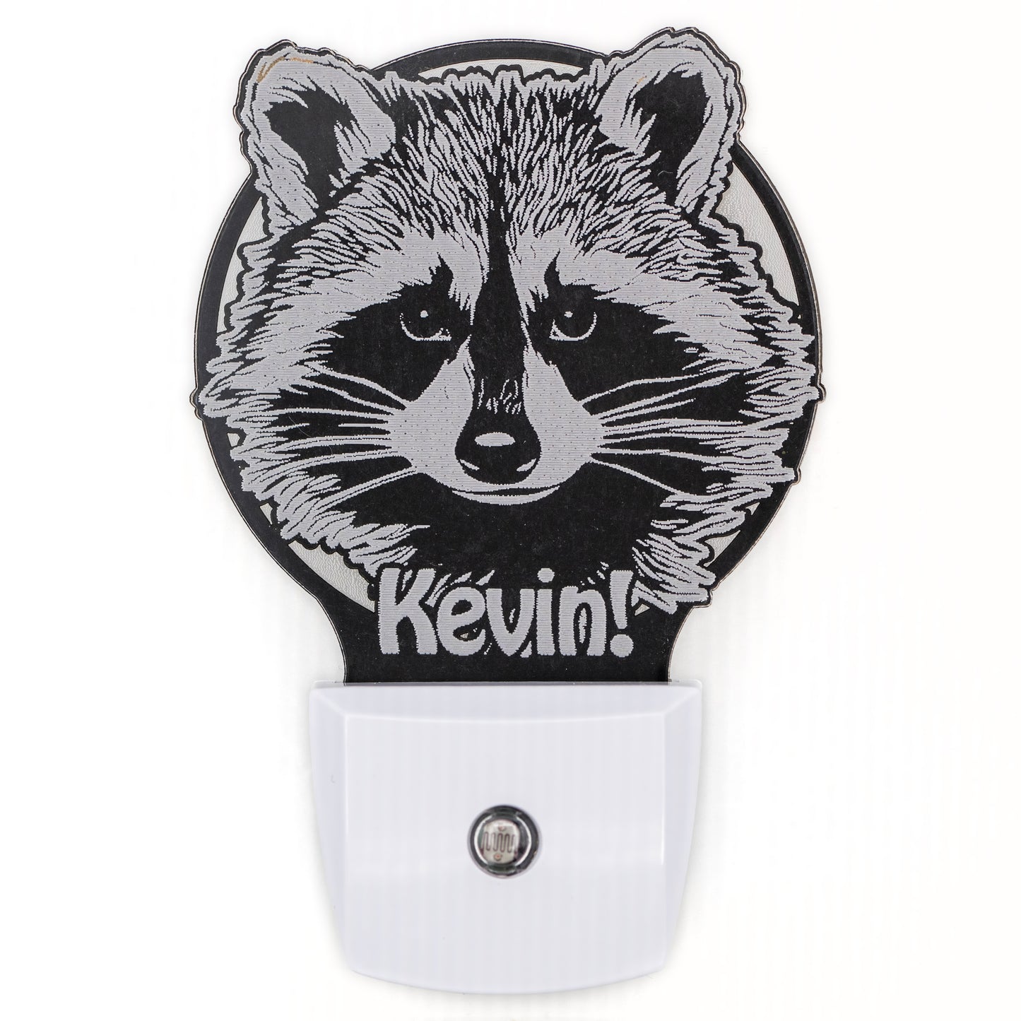 Kevin! Raccoon