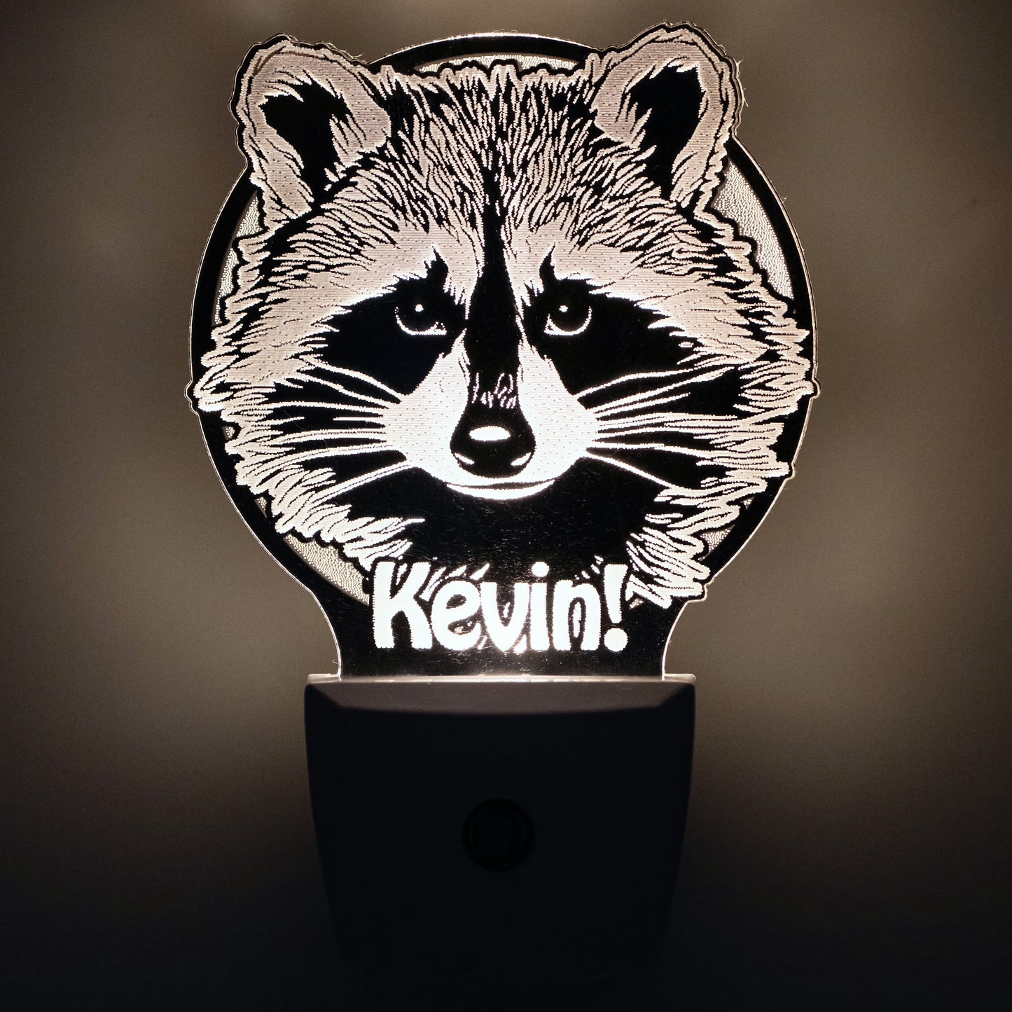 Kevin! Raccoon