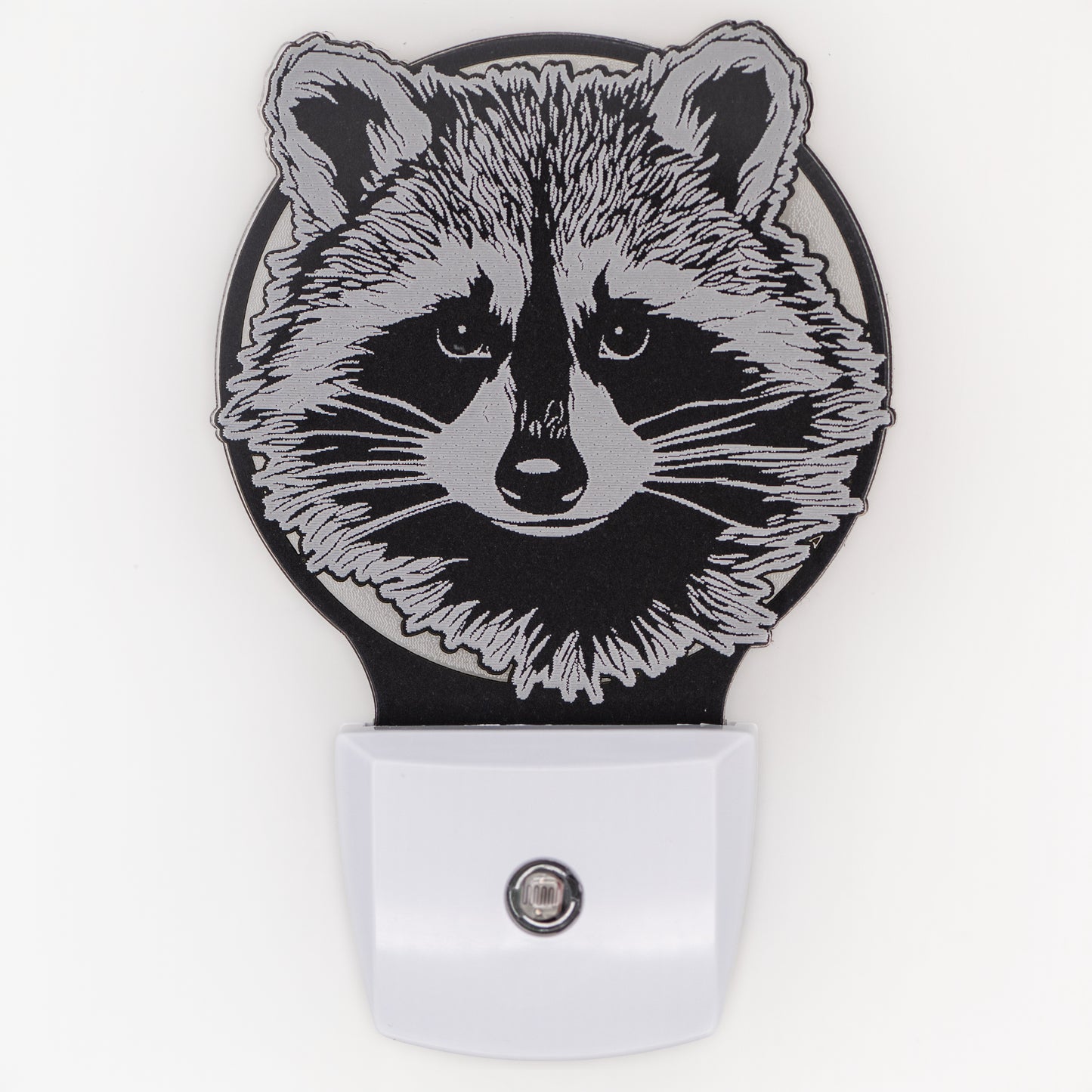Raccoon