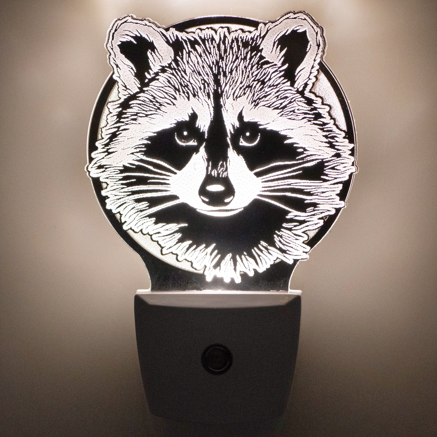 Raccoon