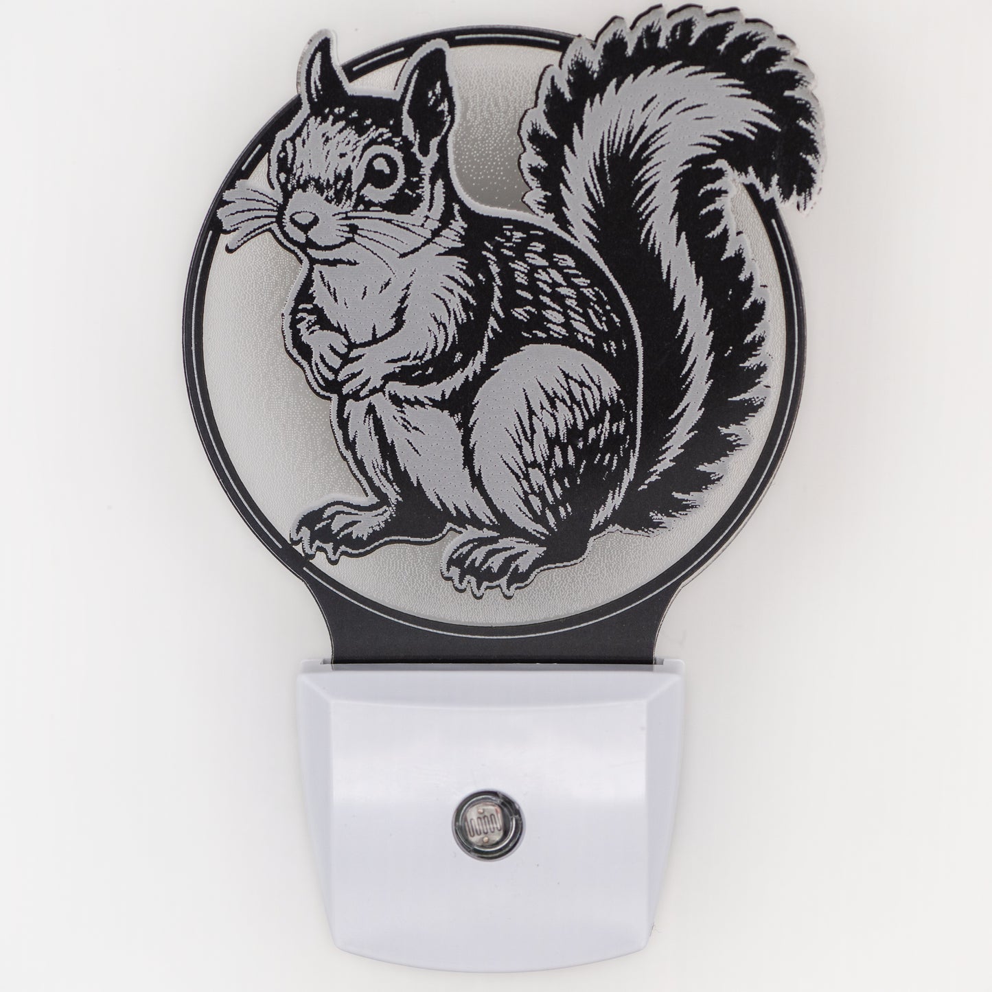 Squirrel