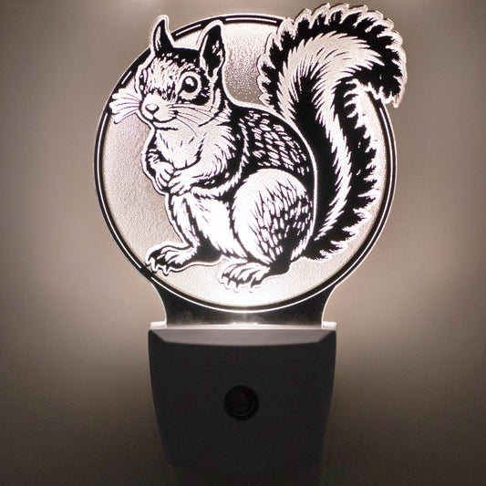 Squirrel