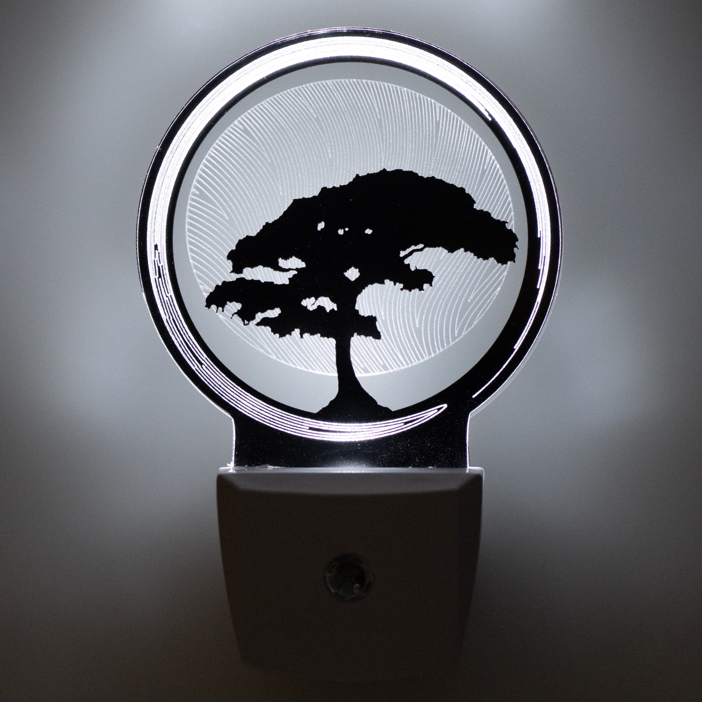 Bonsai Tree Nightlight