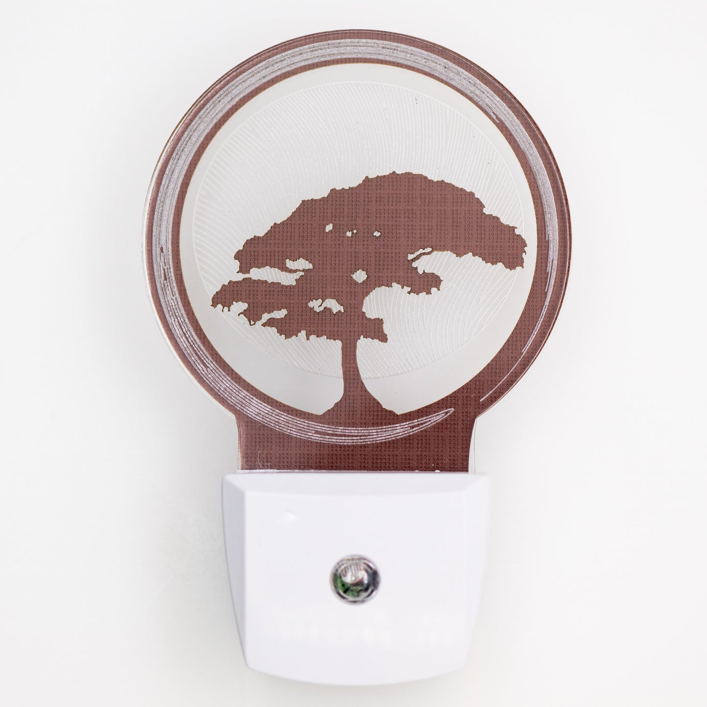 Bonsai Tree Nightlight