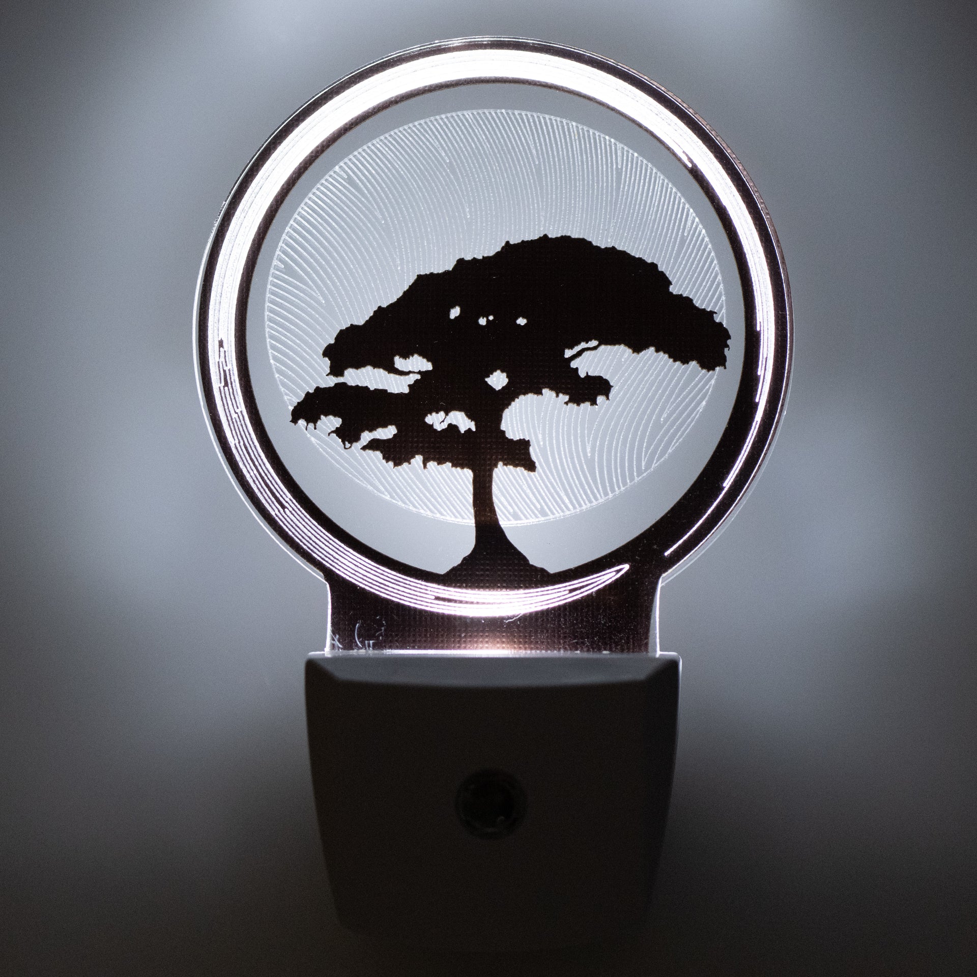 glowing bonsai tree Bonsai Tree Nightlight – Glowing Edge Workshop