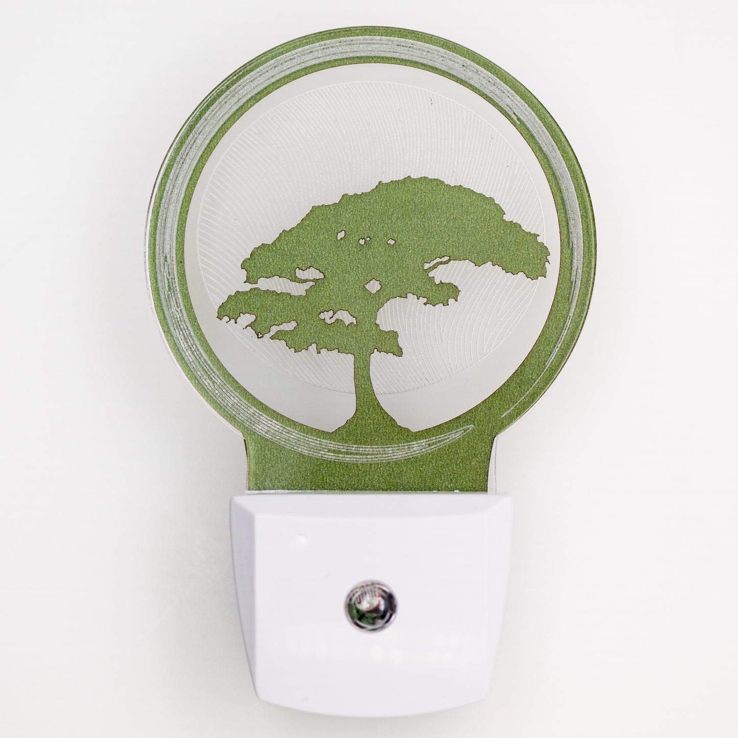 Bonsai Tree Nightlight