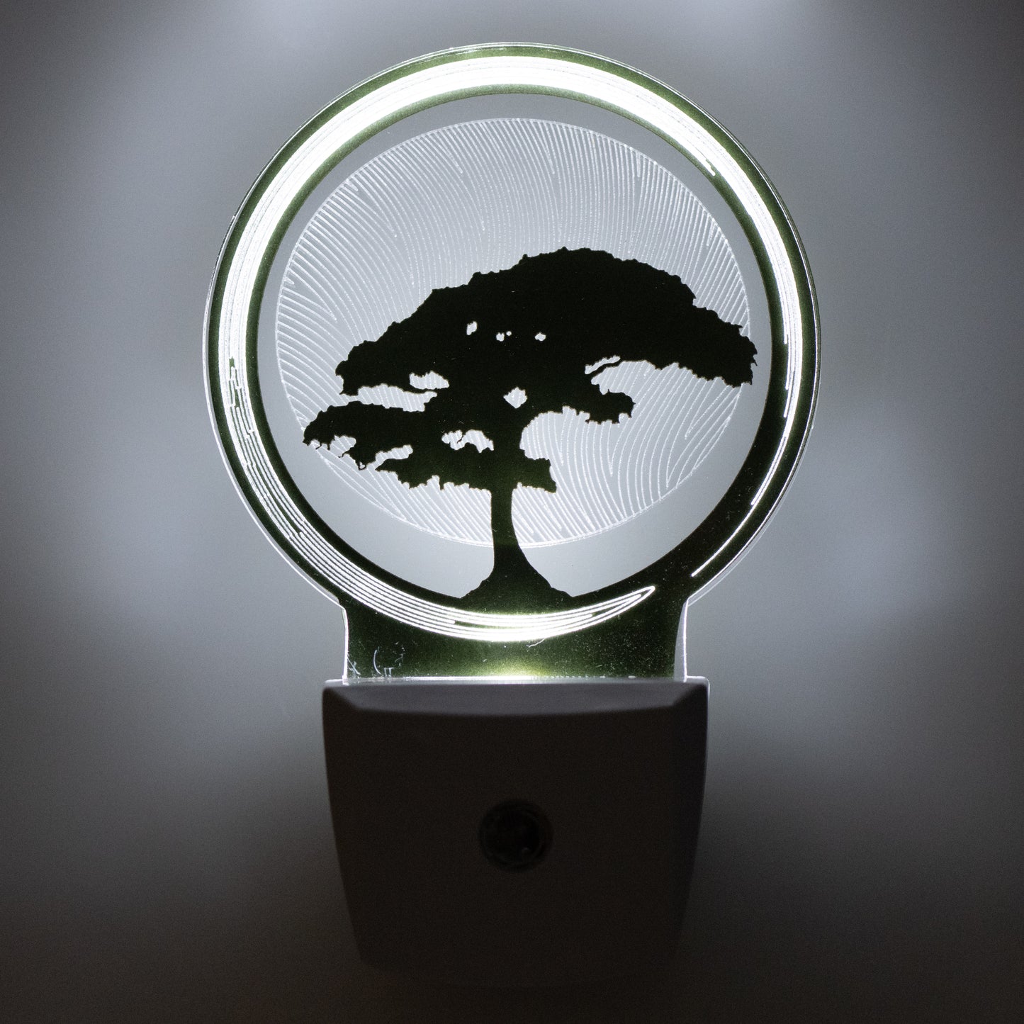 Bonsai Tree Nightlight