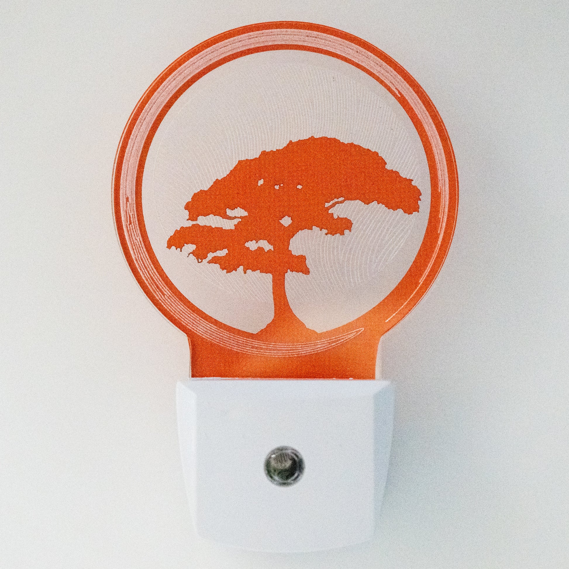 glowing bonsai tree Bonsai Tree Nightlight – Glowing Edge Workshop