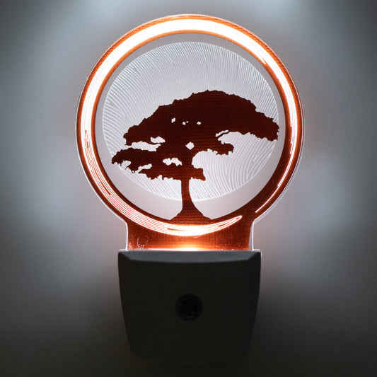 Bonsai Tree Nightlight